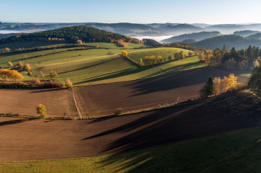 Přímé platby