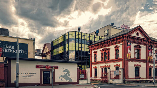 Uplatnění pro lidi bez zkušeností