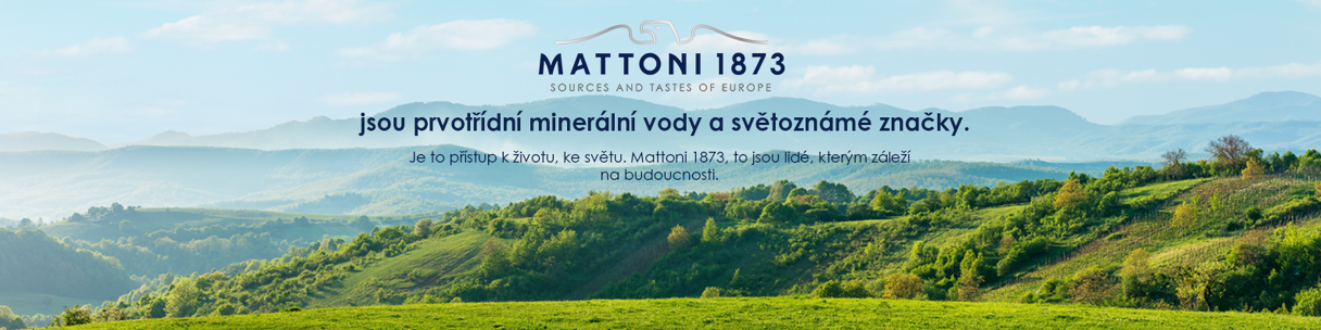 Mattoni 1873 a.s. image
