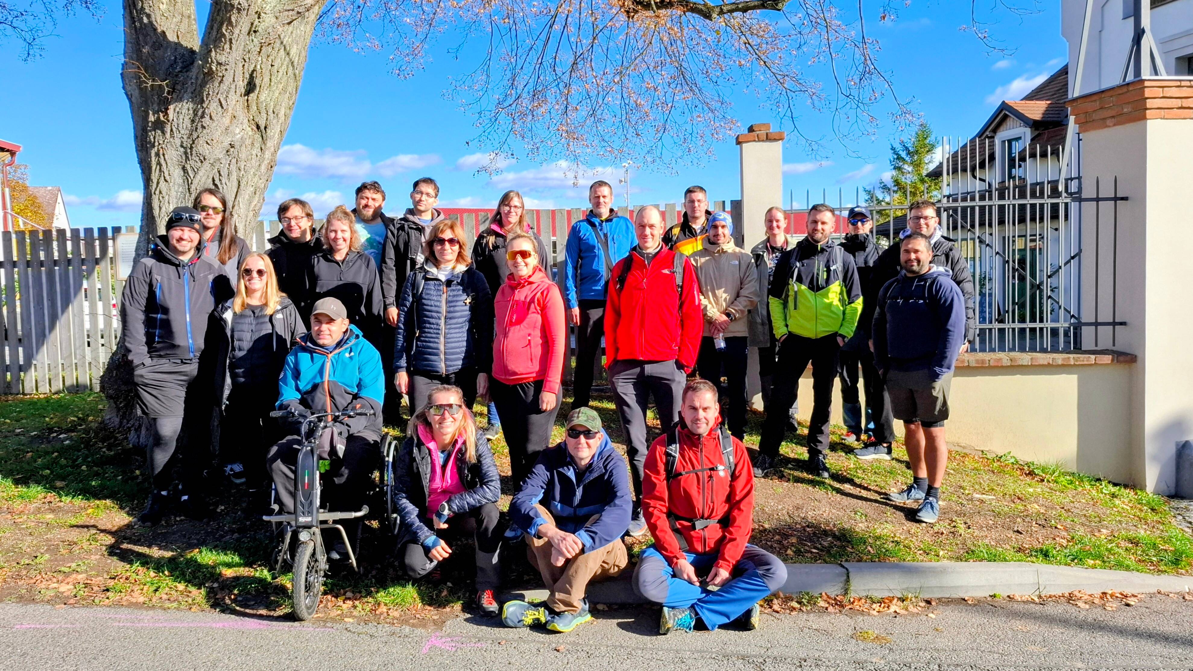 dolphin consulting a.s. image