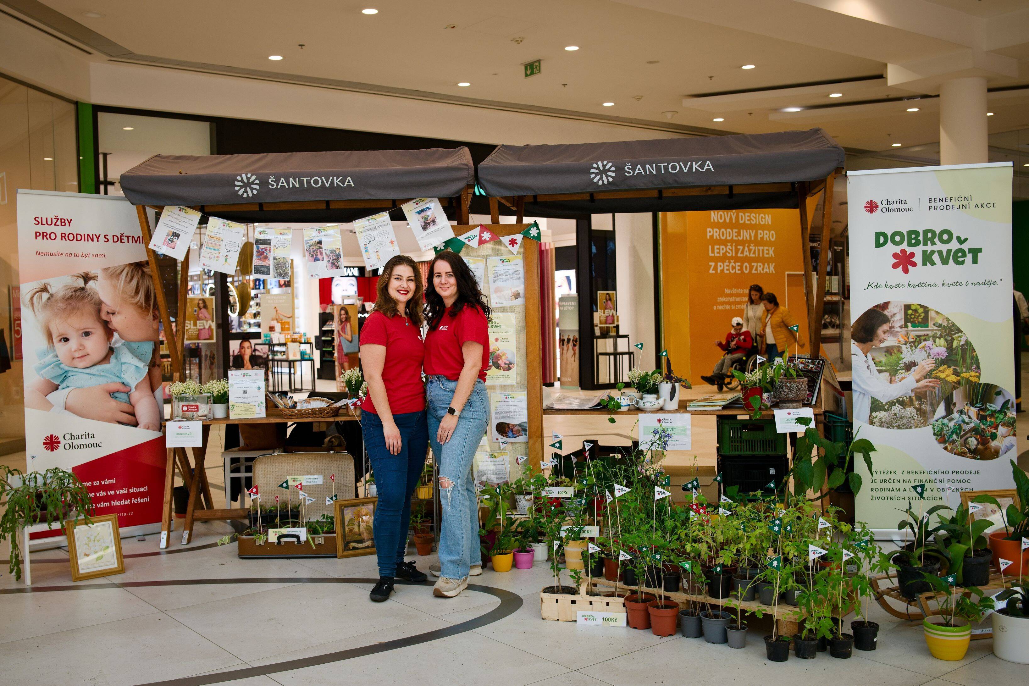 Práce v týmu mladých lidí