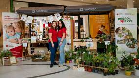 Práce v týmu mladých lidí