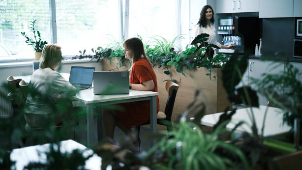 Naše zelená jídelna - skoro jako v Mekáči