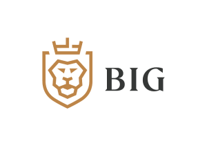 B.I.G. Capital, a.s.