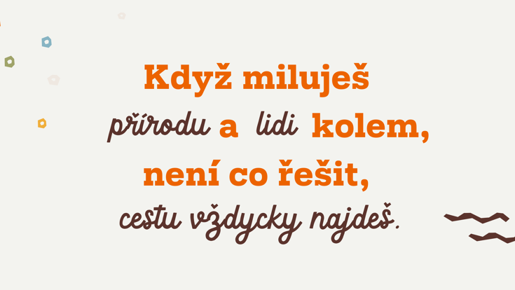 Mise