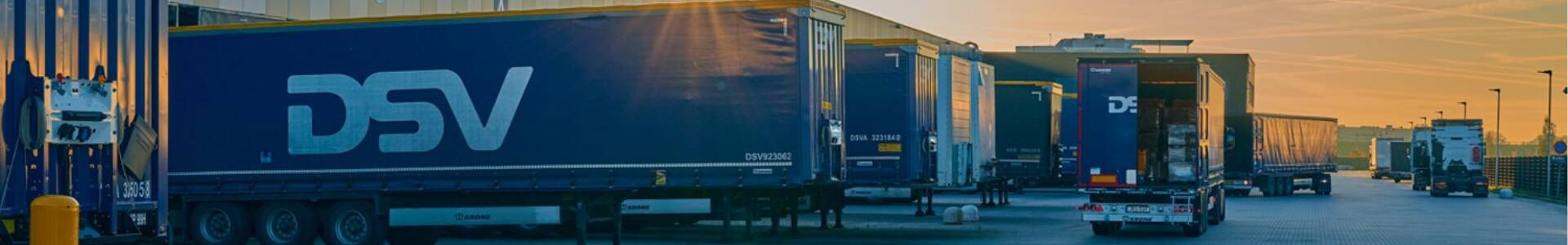 DSV Global Transport and Logistics