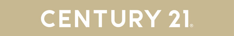 company profile cover