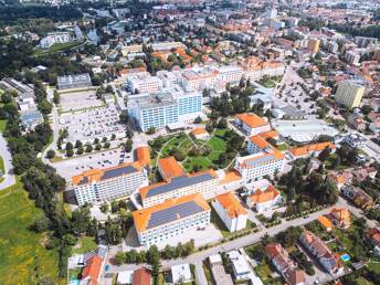 Foto v medailonku